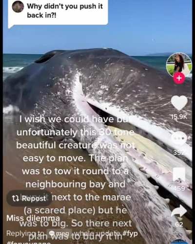 TikTok is unhinged