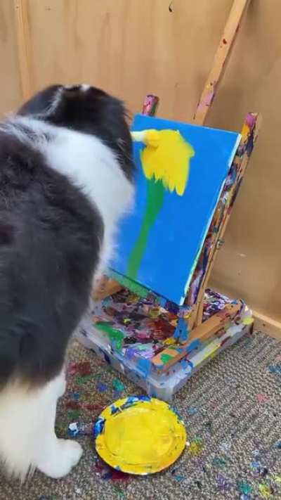 Smart bloody doggo