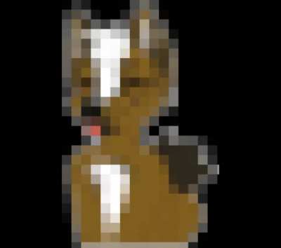 Bits_irl