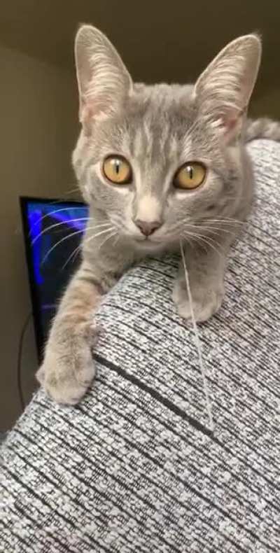 Hmm