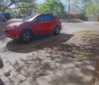 notmycat tries to jack my car