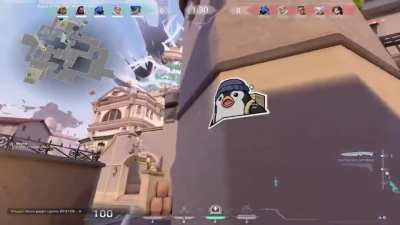 shock dart ace