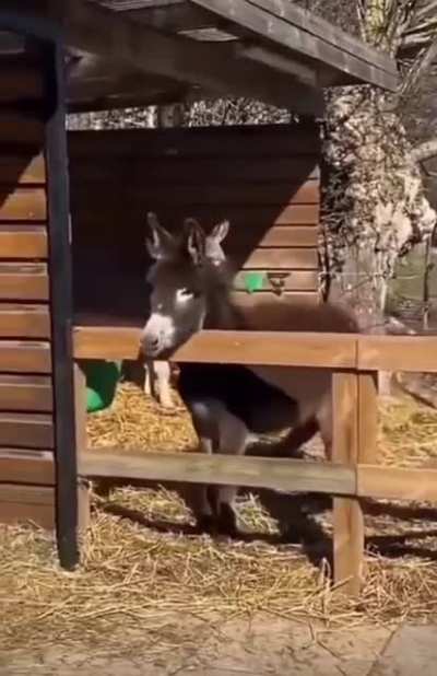 Смори как могу!