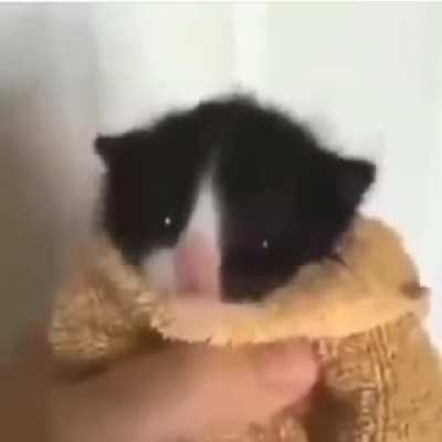 Cj?