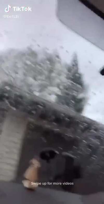 You definitely should get inside