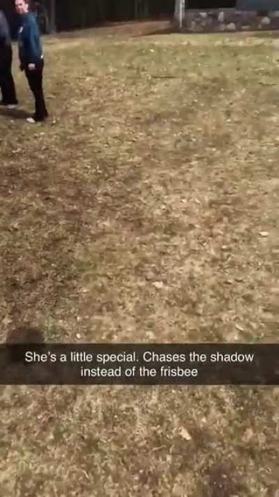 She&rsquo;s trying her best, okay?