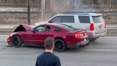 Mustang doing Mustang things 