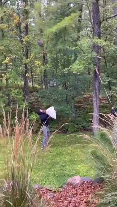 Seems like something a redneck would do. (wasp catch)
