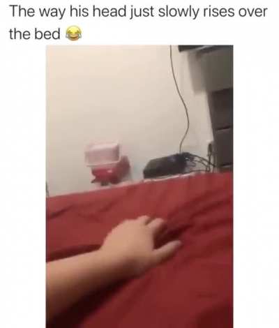 Jumpscare