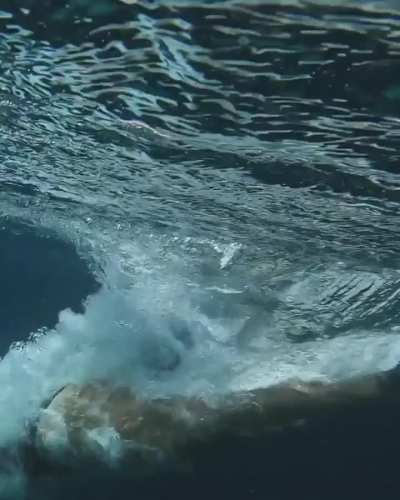 khalyla dive 2