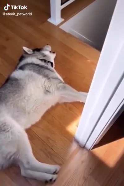 AAAAAAAAAAAA