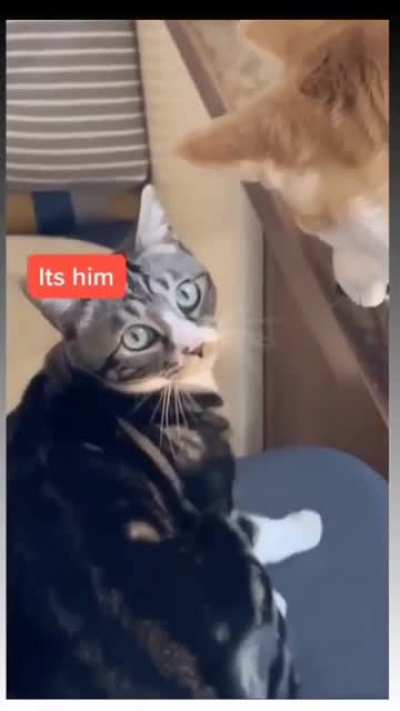 Это всё он...
