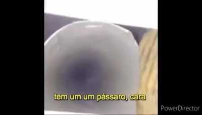 vo-voc&ecirc; gosta? 👉👈