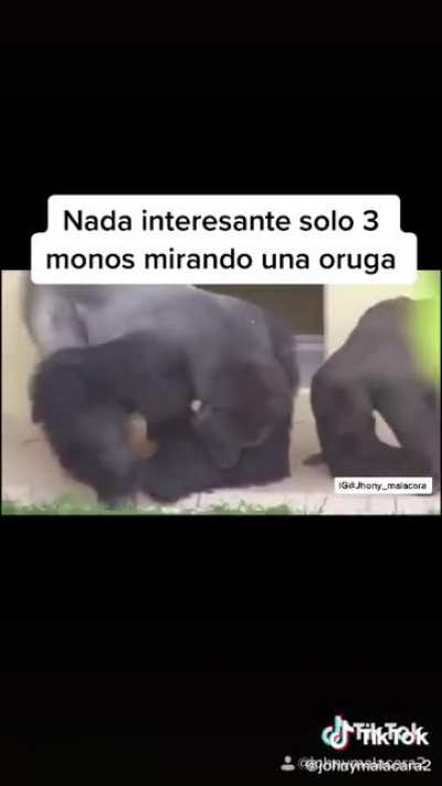 Claro q si