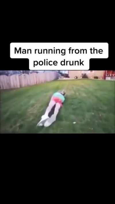 No caption needed