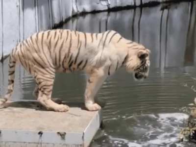 How Monday Feels