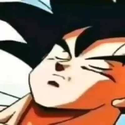 Que idolo el goku