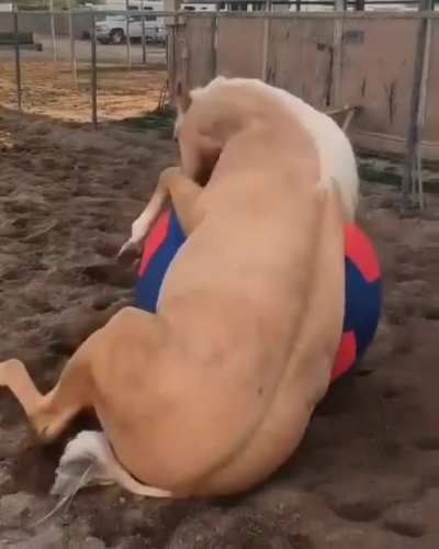 Eu fiquei bem vendo esse v&iacute;deo