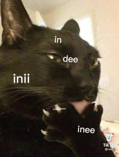 in de beninging