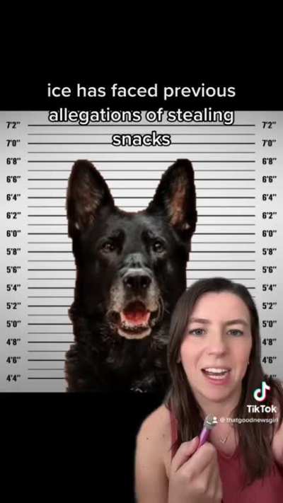 Cutest mugshot ever