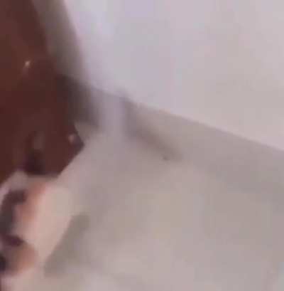 Bonk