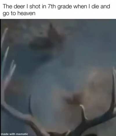 I regret everything