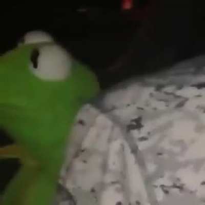 Kermit doesn't mind.