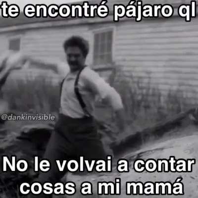 Si