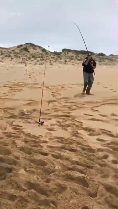 Poor seal can&rsquo;t figure out why he couldn&rsquo;t catch the fish
