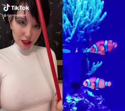 Please don&rsquo;t kinkshame the sea life