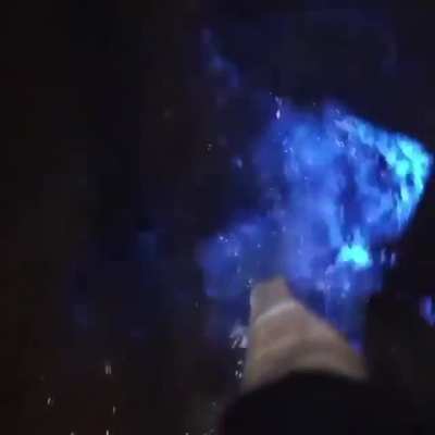Walking Through Bioluminescent Plankton