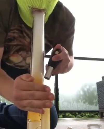 Nice