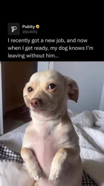 Him using the puppy eyes move