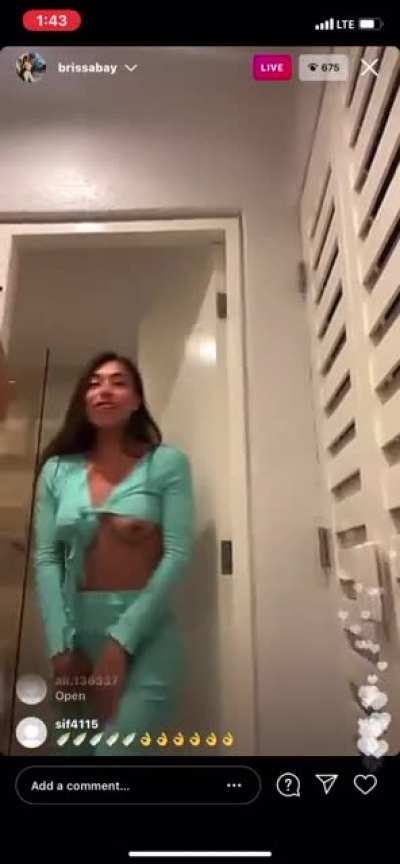 Nipps baybrissa