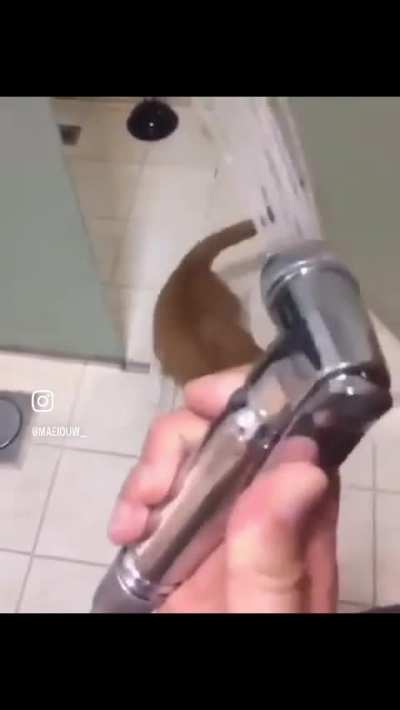 Water wunk