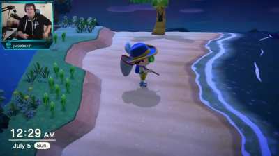 Missing a bug you need in Animal Crossing