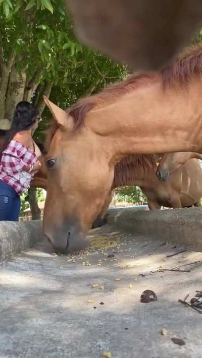 i hope being a slutty farmergirl is not a problem