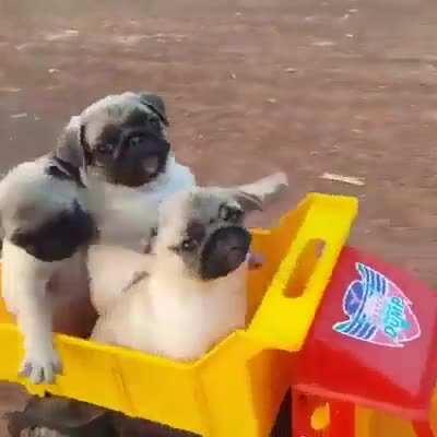 Come Ride With Us!