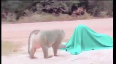 MoNkE