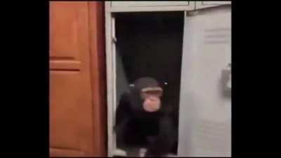 Dancing monke