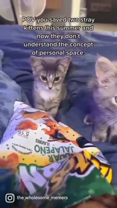 cute 😍