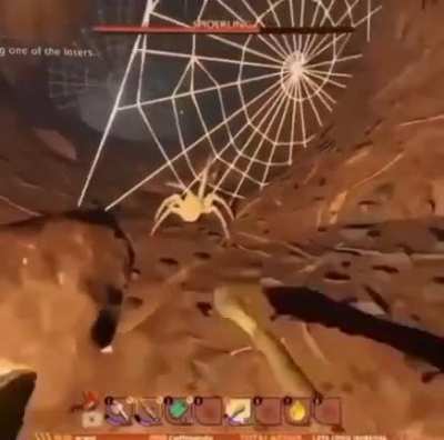 Pesdecoelho - Video #4064