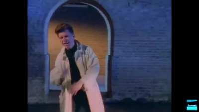 Never Gonna Stay