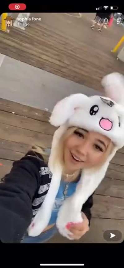 🐰