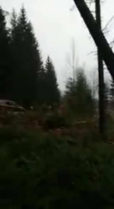 It&rsquo;ll buff right out