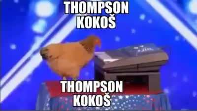 Thompson koko&scaron;