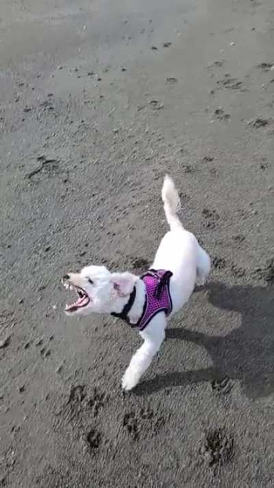 lupita peleando con un el viento...o un yautja probablemente