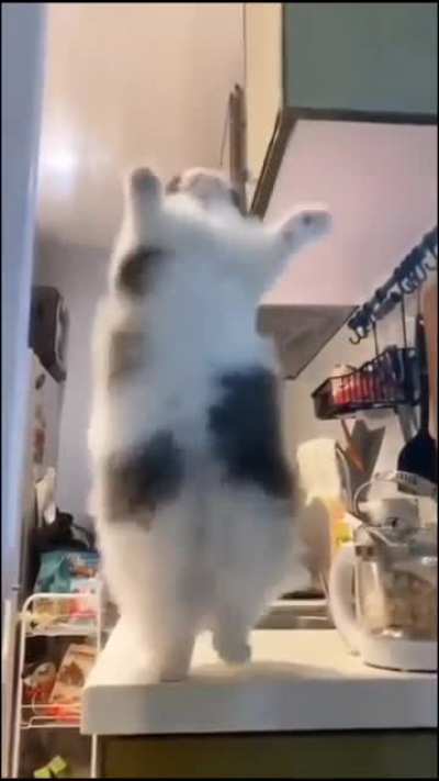 iyi geceleeer bi ka&ccedil; post atıp uyuyacam(sabah postlara gelen yorumlara bakmak gibisi yok)