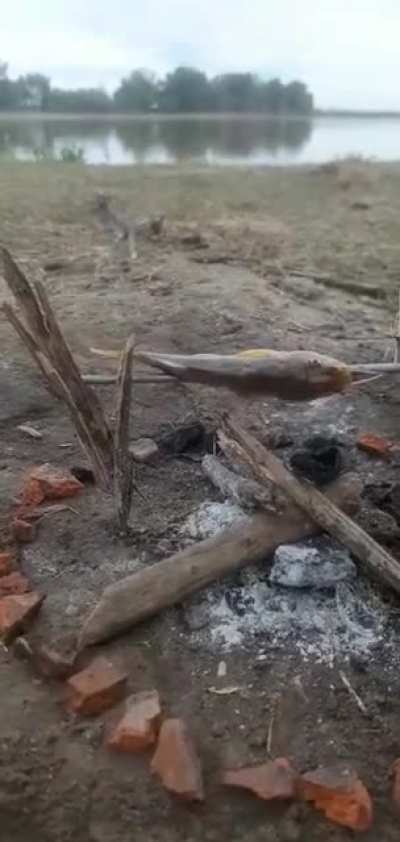 Disfrutando la gran pesca..!
