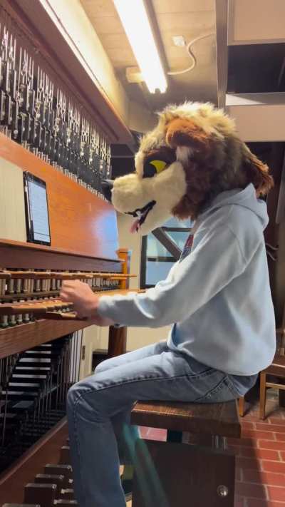 yes, furries are ringing the bells
